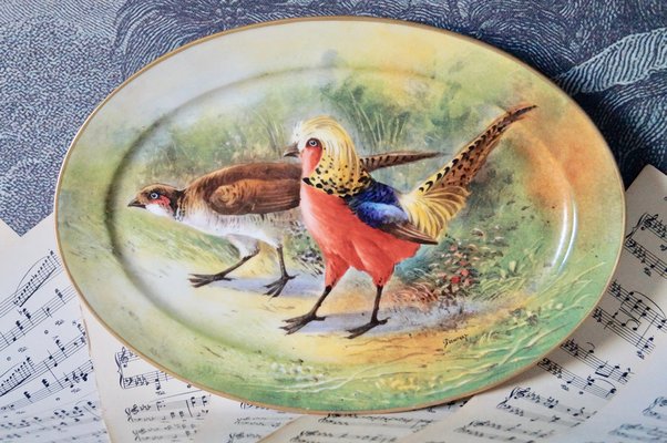 Plat Ancien Limoges – Décor Oiseaux Et Fleurs – France – Occasion