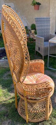 Peacock plastic chair price clearance
