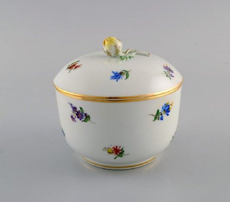 Antique Porcelain Lidded Bowl with Hand-Painted Flowers from Meissen for  sale at Pamono