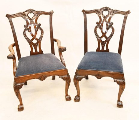 Chippendale Dining Chairs in Mahogany Set of 8 for sale at Pamono