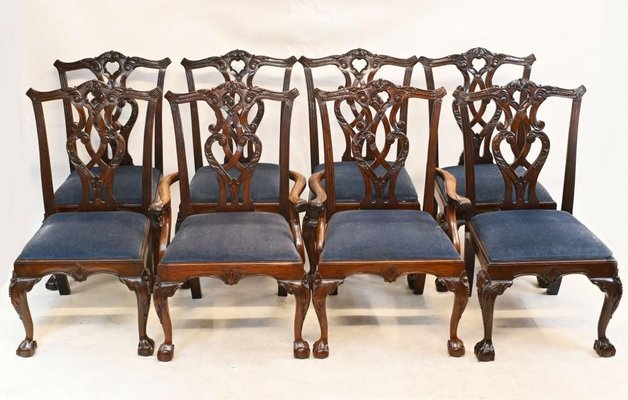 Chippendale Dining Chairs in Mahogany Set of 8