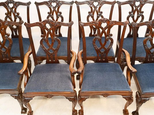 Chippendale Dining Chairs in Mahogany Set of 8