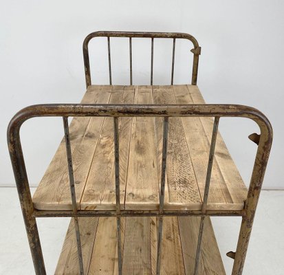 Vintage Industrial Iron and Wood Shelves on Wheels for sale at Pamono