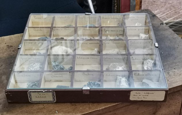 Vitrinen mit verschiedenen Mineralien, 4 . Set bei Pamono kaufen
