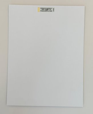 blank canvas kmart