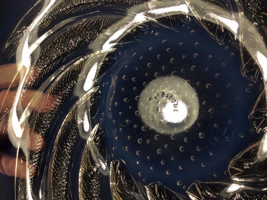 Plate from the Poissons Series in Opalescent Crystal by Rene