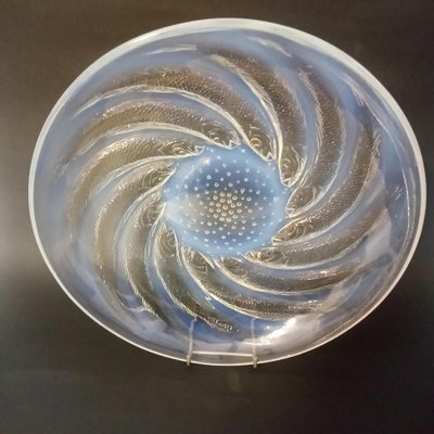 LALIQUE France - Paire de coupelles en cristal moulé pressé satiné, l