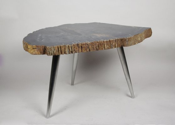 17+ Petrified Wood Coffee Table