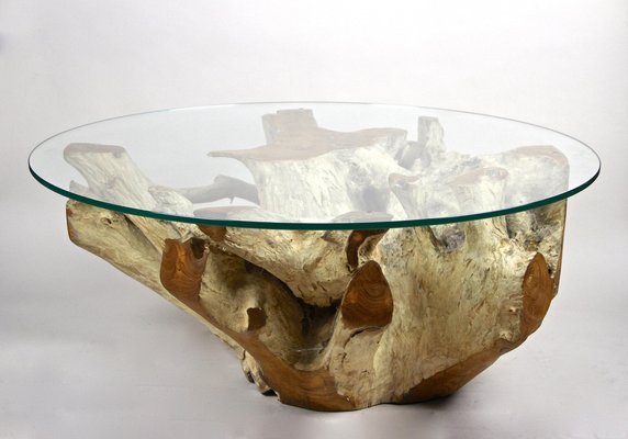 Round teak root coffee table online
