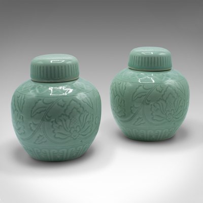 https://cdn20.pamono.com/p/g/1/3/1335475_9t0jko6570/antique-chinese-decorative-spice-jars-set-of-2-1.jpg