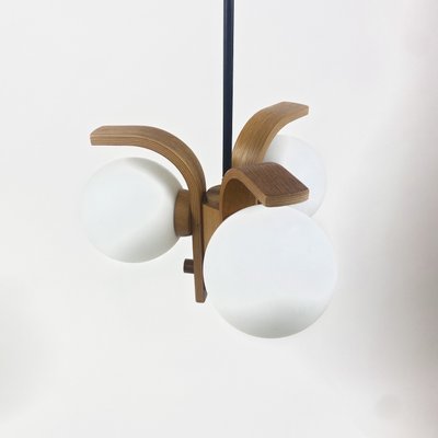 Bony Hanging Lamp in Glass and Wood for 