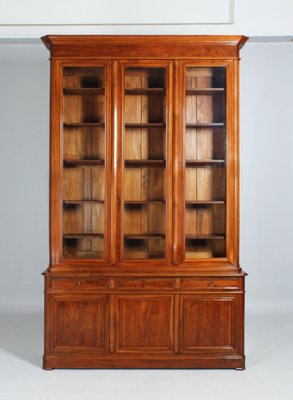 Ancient Library Cabinet
