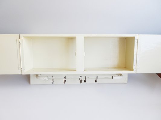 Kitchen Hanging Cabinet with Glass Hook Bar, Germany, 1950s for sale at  Pamono