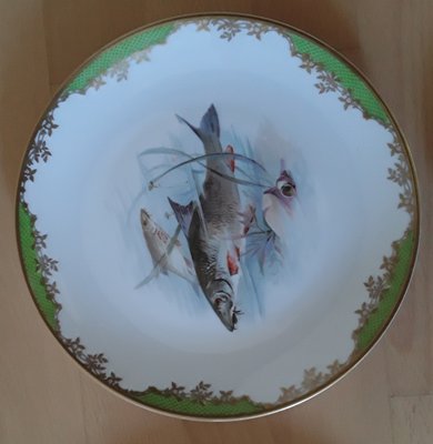 Antique Porcelain Feeder Set with Fish Motif from Rosenthal, 1928