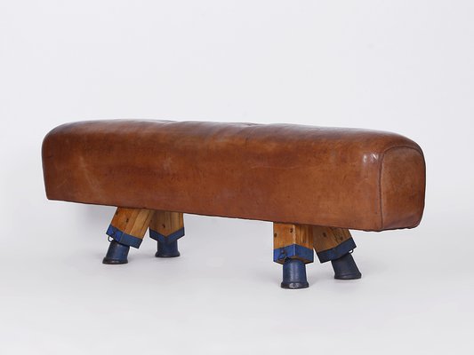 https://cdn20.pamono.com/p/g/1/3/1363281_hmqbq72er5/leather-pommel-horse-or-bench-1930s-8.jpg