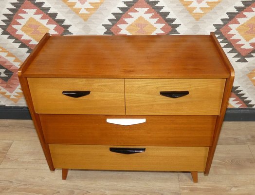 2 Tone Shoe Cabinet 1950s for sale at Pamono