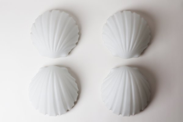 Seashell lamps cheap for sale