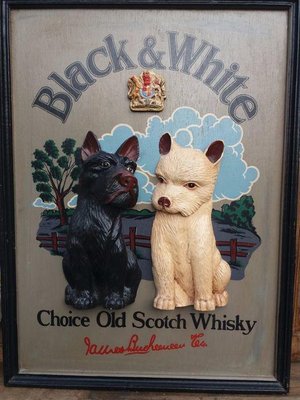 Spazzolino Da Viaggio Con Dentifricio - Confezione Da 250 Pezzi Per Hotel E B&B | Imbustato Singolarmente - Foto 4