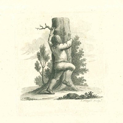 James Neagle, A Boy Climbing a Tree, Original Etching, 1810 for
