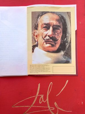 Salvador Dali, Twelve Tribes of Israel, Original Tapestry, 1983