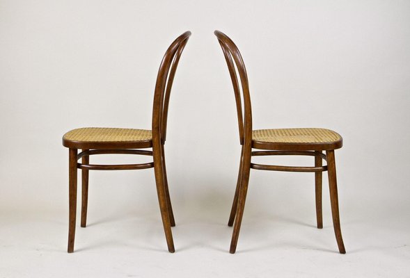 Bentwood chair ① Set of Art Nouveau Bentwood Chairs No. 14, Austria, 1890s for sale