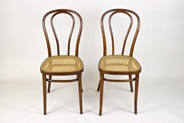 Set of Art Nouveau Bentwood Chairs No. 14, Austria, 1890s for sale