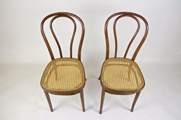 Set of Art Nouveau Bentwood Chairs No. 14, Austria, 1890s for sale