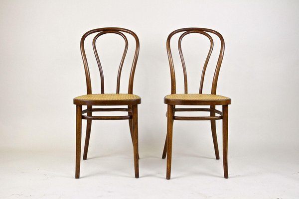 Chaise bentwood sale