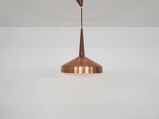Copper and sale wood pendant light