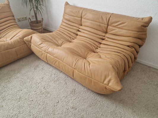 Togo Living Room Set by Michel Ducaroy for Ligne Roset 1973 Set