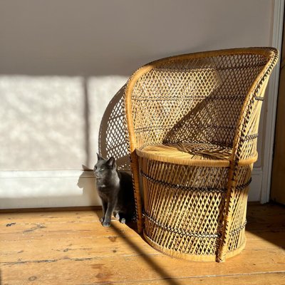 Cane bucket chair new arrivals