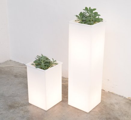Vintage White Perspex Lighted Plant Pots 1970s Set Of 2 For Sale At Pamono