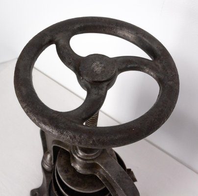 Antique Cast Iron Sheet Press for sale at Pamono