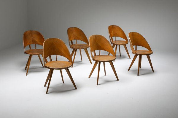 Italian Plywood Dining Chairs 1940s Set of 6 for sale at Pamono