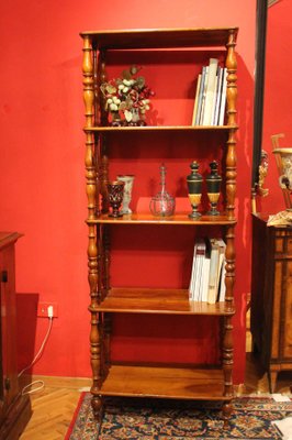 Italian 19th Century Regency Style Rustic Walnut Open Shelves Bookcase for sale at Pamono