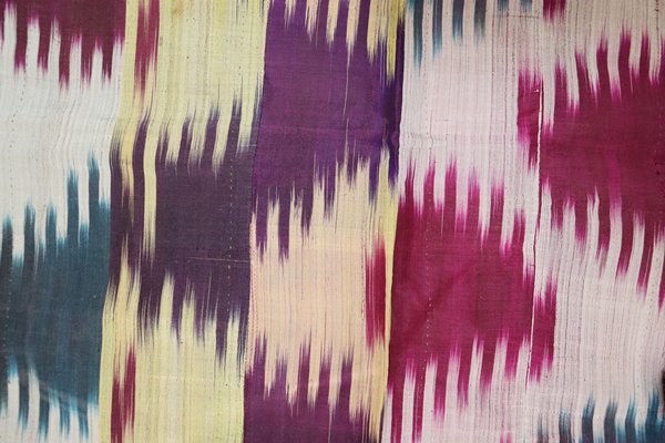 Yalangoch tukli mushuklar