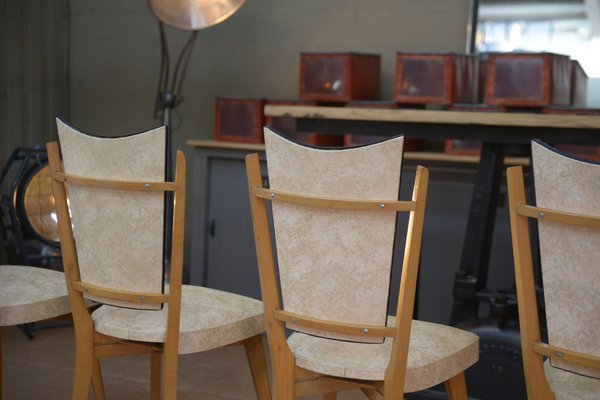 Beech Chair back & designer furniture