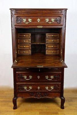 Antique Austrian Secretary Cabinet in Oak 1870