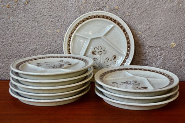 Platos con compartimentos para fondue de estilo bohemio anos 60. Juego de 10 en venta en Pamono