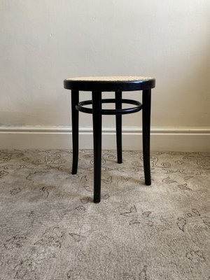 Bentwood stool 2025