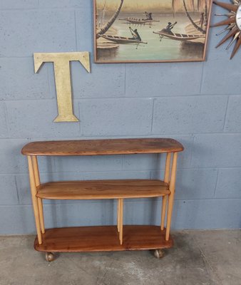 Ercol shelves on sale