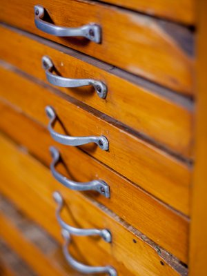Antique Printers Cabinet 1890s For Sale At Pamono