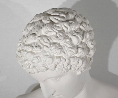 Bust of Caracalla on Column, Late 19th Century, Plaster for sale at Pamono