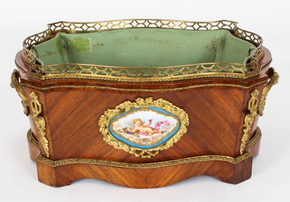 French Sevres Porcelain Ormolu Mounted Jardiniere, 1800s for sale at Pamono