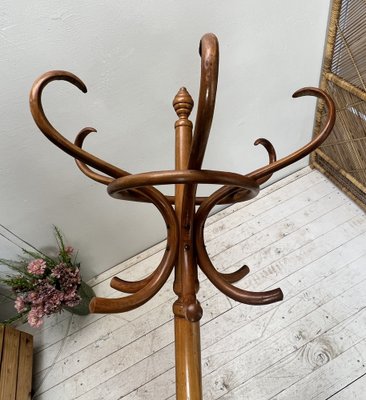 Free Standing Coat Rack in the style of Thonet, 1950s for sale at