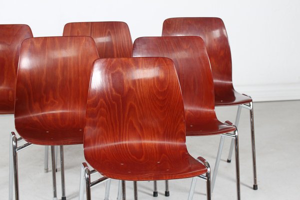 German Molded Plywood Stacking Chairs by Elmar Flötotto for