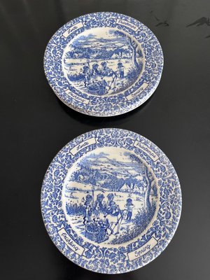 English Ironstone Plates 1960s Set of 8 for sale at Pamono