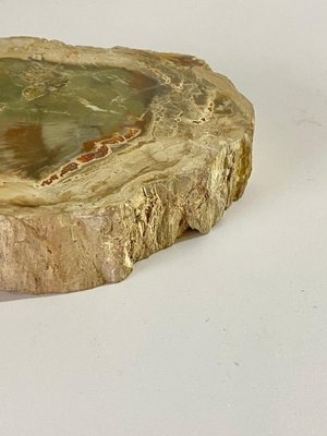 15th Century Petrified Wood Ashtray for sale at Pamono