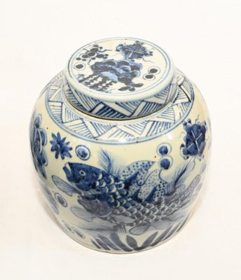 Chinese Blue and White Porcelain Urns with Goldfish, Set of 2 for