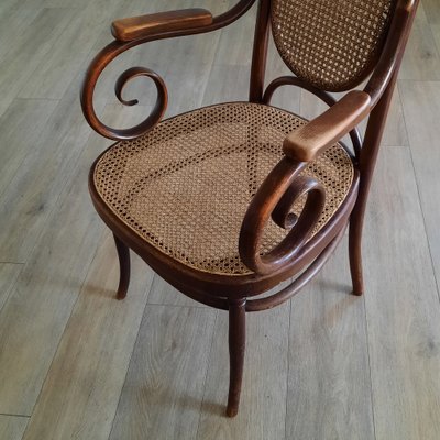 Model No. 17 Armchair by Michael Thonet for Jacob Josef Kohn 1880s for sale at Pamono
